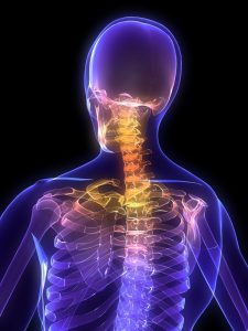 The Cervical spine: physiotherapy for back pain